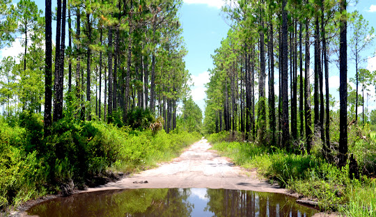 Sell Home for Cash - Putnam County, FL